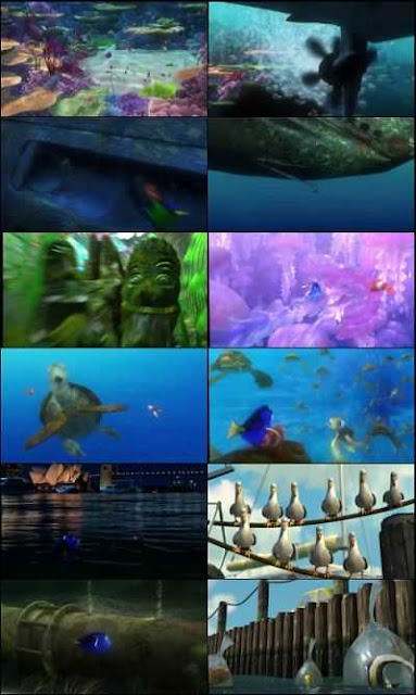 Finding Nemo Full Movie Free Download In Hindi Hd Finding Nemo Full Movie Free Download In Hindi Hd
