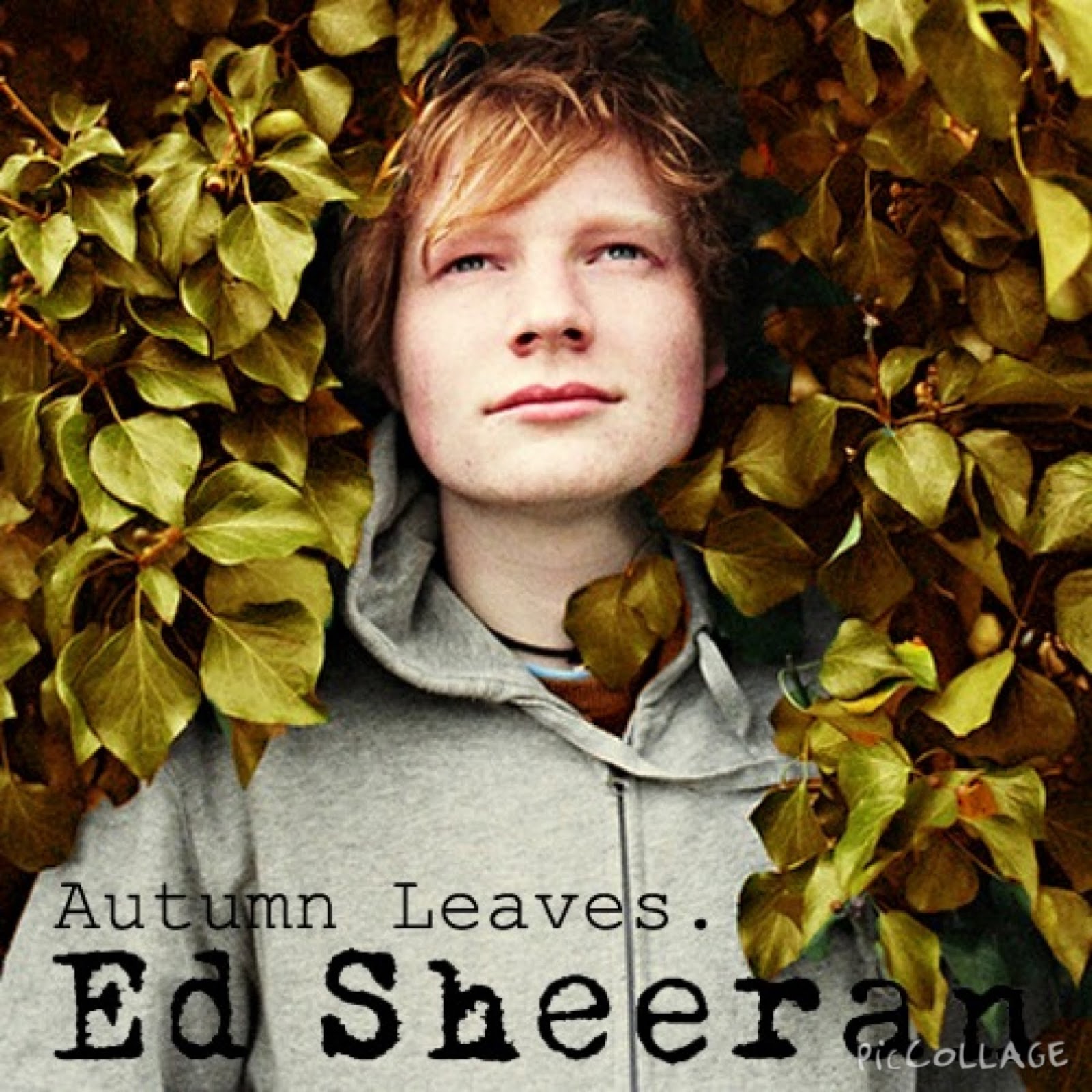 Free Download Autumn Leaves (Ed Sheeran) Mp3 Song Free Downloads