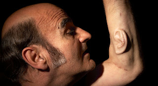 Essay on stelarc 04 picture