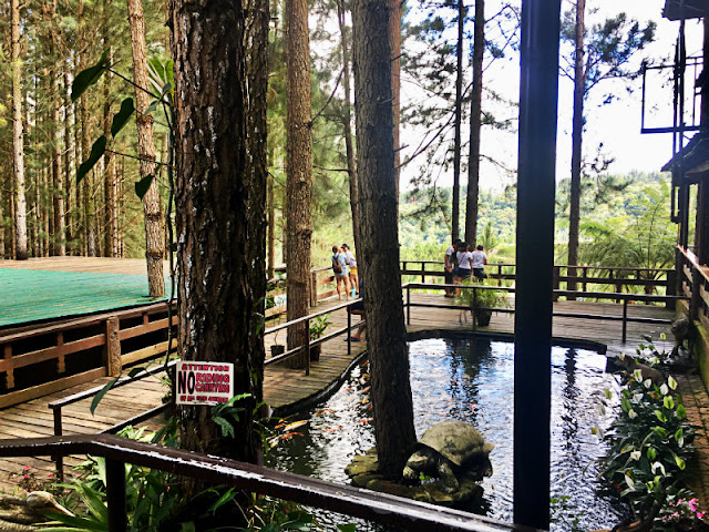 Dahilayan Forest Park Fish Pond Dahilayan Forest Park Fish Pond