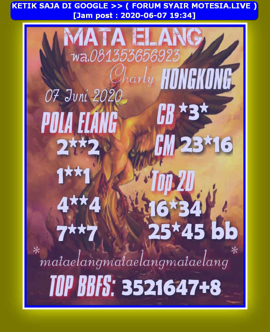 Hk Senin Mata Elang