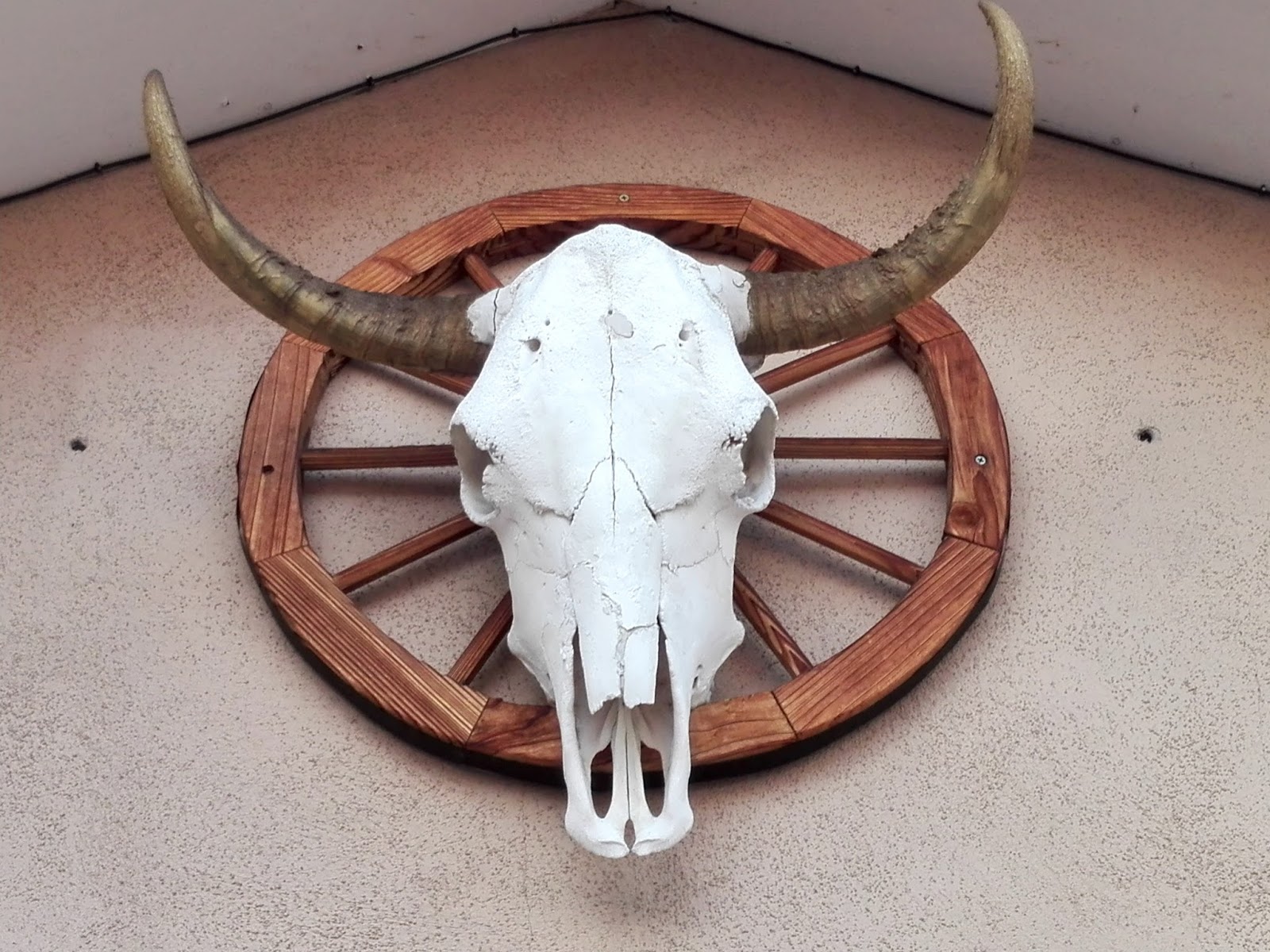 Geomusik August 2017