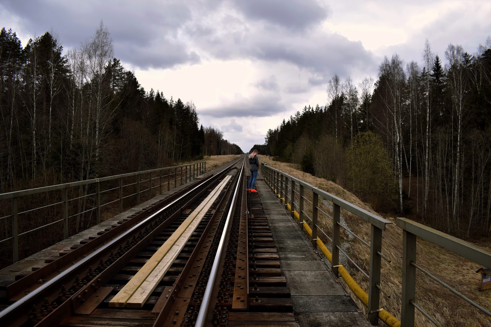 Day trip Valgemetsa (Photography)