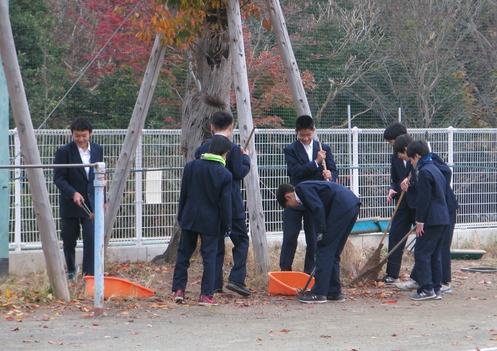 四中マルベリーニュース ２年生 落ち葉掃き