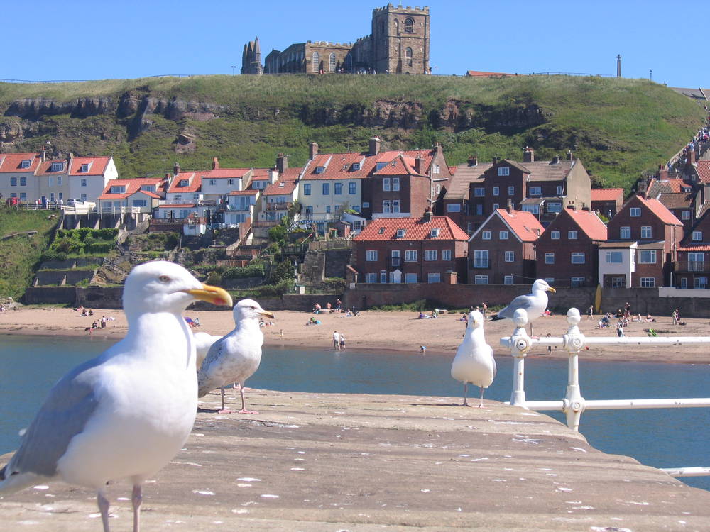 Matthew Roberts Portfolio Whitby Postcard matthew-roberts-portfolio-whitby-postcard