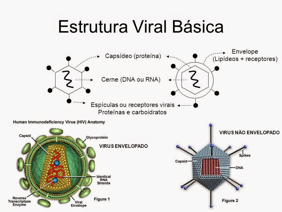 JuLaYu VÍRUS JuLaYu VÍRUS