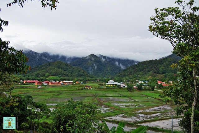 Bario (Kelabit Highlands), Borneo (Malasia)