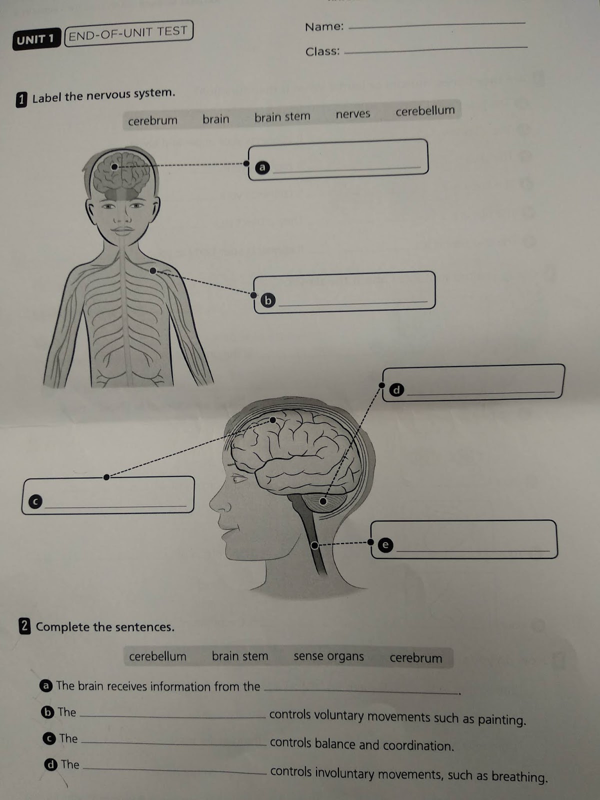 LOS PICASSITOS DE 3º Examen Natural Science Unit 1