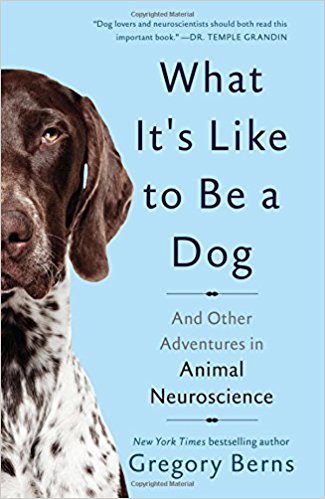 eScienceCommons: What's it like to be a dog-cognition scientist?