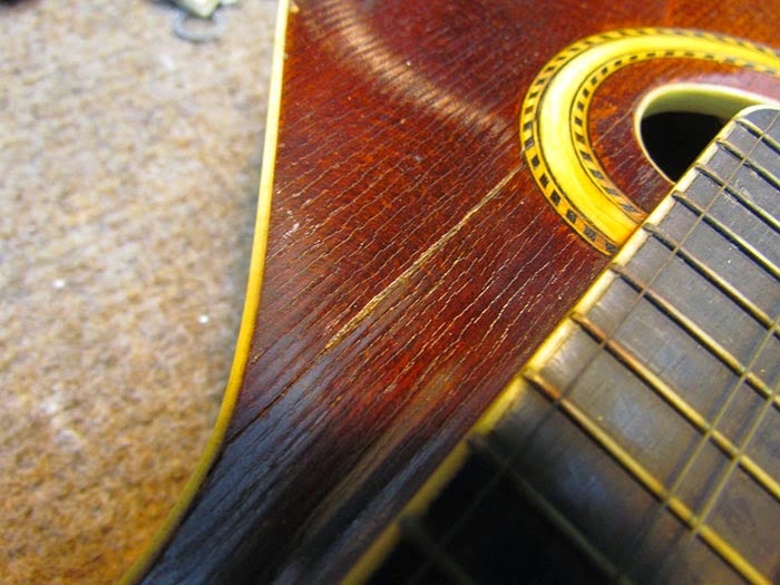 1919 Gibson A4 Mandolin Crack Assessment Crawls Backward (When Alarmed)