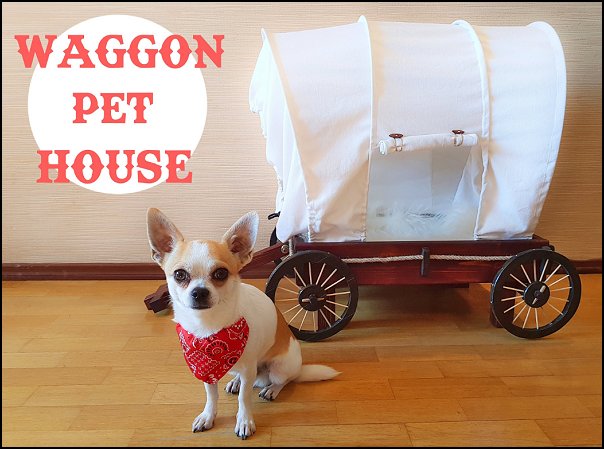 pet gift ideas - gifts for pets - gifts for dogs - gifts for cats - creative gifts for animal lovers - gifts for pet owners pet stuff - cool stuff to buy - pet supplies - pet cookie jars - dog throw pillows - dog themed bedding - cat throw pillows - paw pillows - gifts for cat loving friends - gifts for dog loving friends pet gift ideas - gifts for pets - gifts for dogs - gifts for cats - creative gifts for animal lovers - gifts for pet owners pet stuff - cool stuff to buy - pet supplies - pet cookie jars - dog throw pillows - dog themed bedding - cat throw pillows - paw pillows - gifts for cat loving friends - gifts for dog loving friends