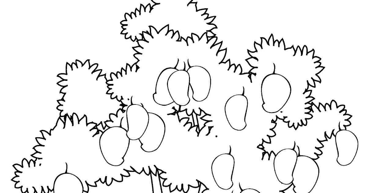 25+ Trend Terbaru Contoh Gambar Sketsa Pohon Mangga Tea