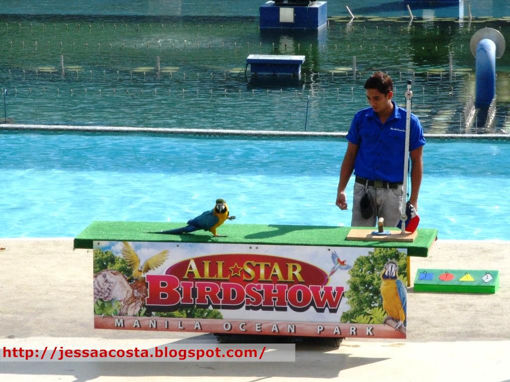 REVIEW Manila Ocean Park P399 FUNtastic Four Combo Pass (P690 Value