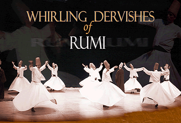 Image result for whirling dervish