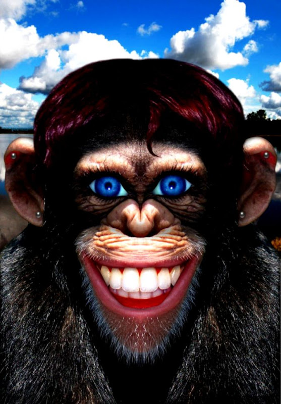 Art Sci Funny Photoshop Animals are Almost Human