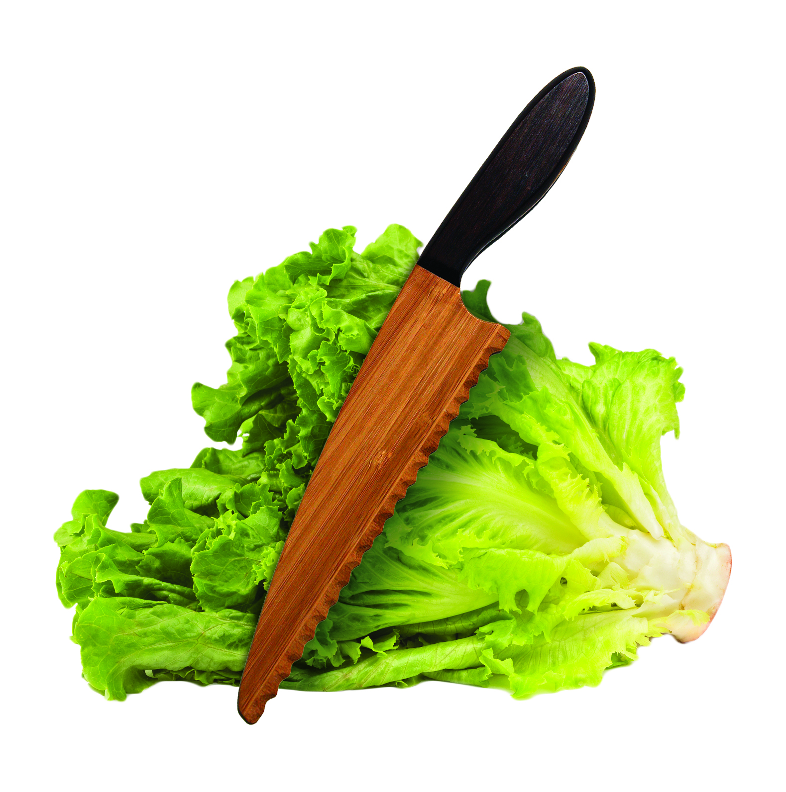 TERRY'S SPA, BEAUTY AND WELLNESS GOTO A HEALTHY LIFESTYLE THROUGH