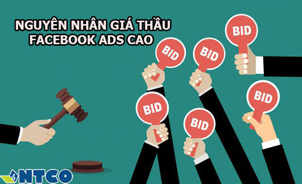 chay facebook ads