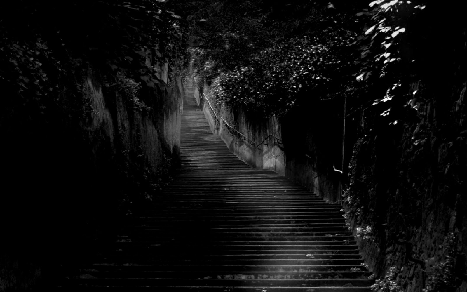 Dark Nature Wallpaper Background Desktop Wallpapers