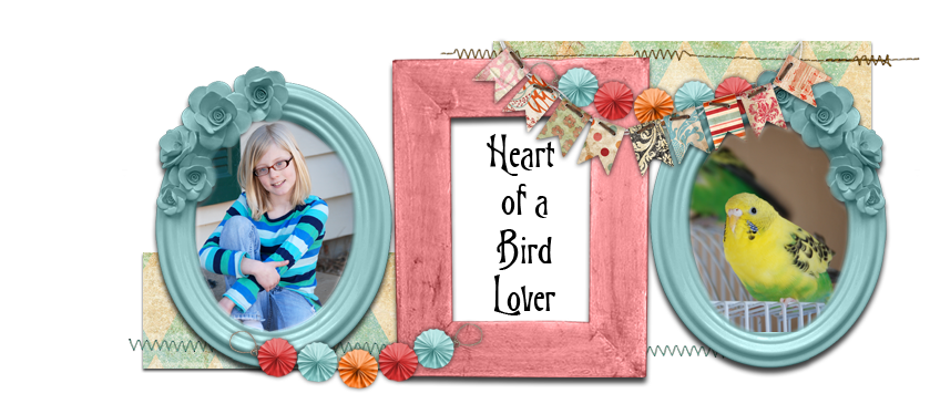 Heart of a Bird Lover