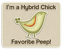 I'm a Hybrid Chick