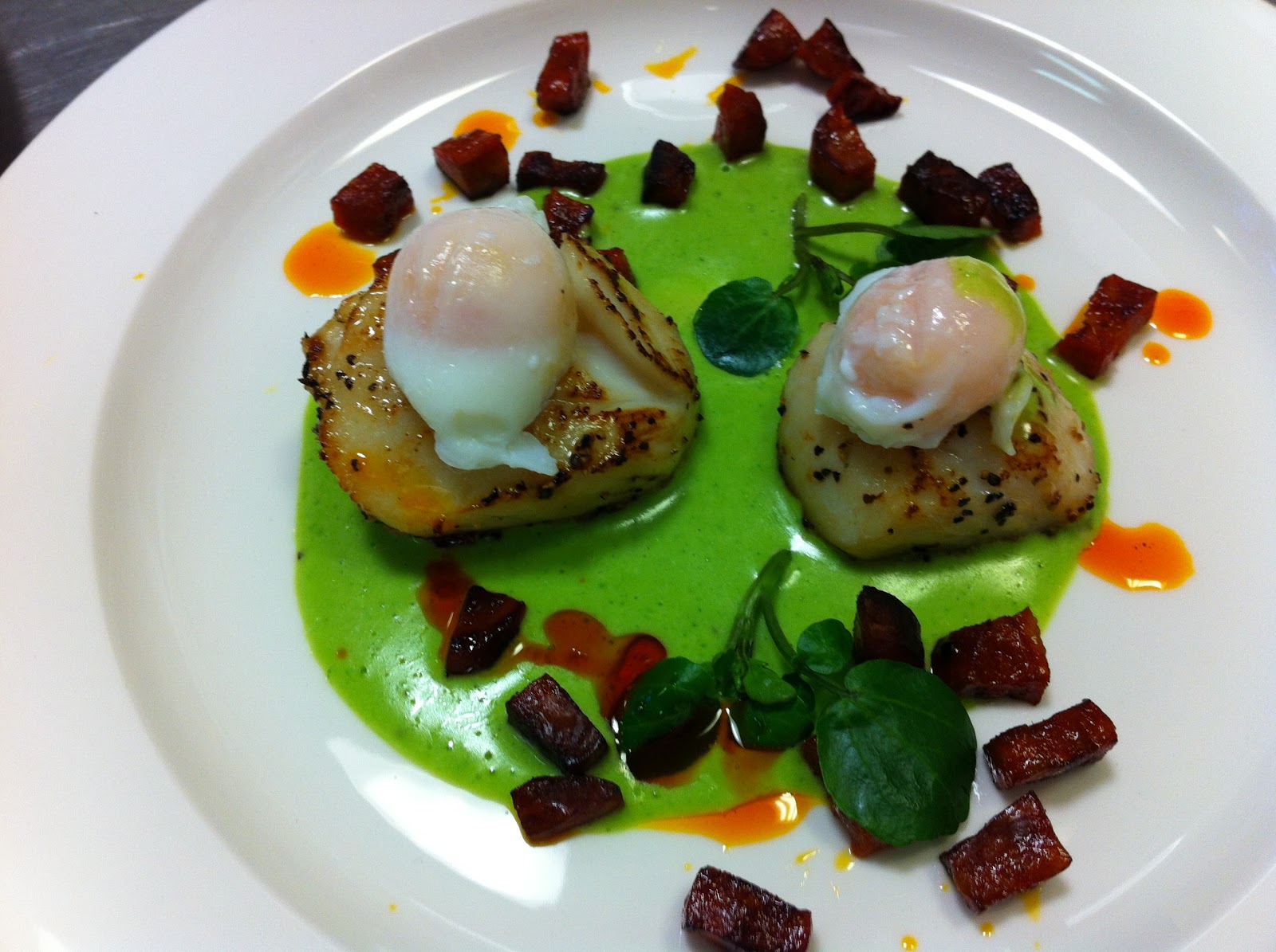 behind the frying pan Poached quail eggs on seared scallops ,crispy
