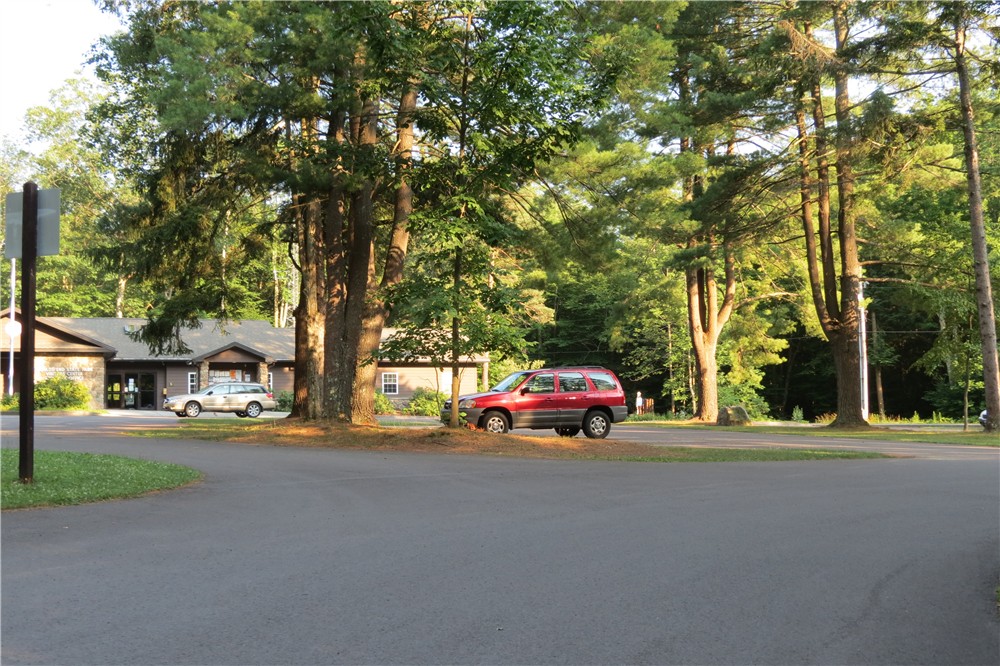 Gone Hikin' Worlds End State Park, PA Loyalsock Canyon