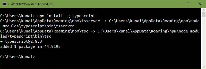 Installing TypeScript using the Node Package Manager