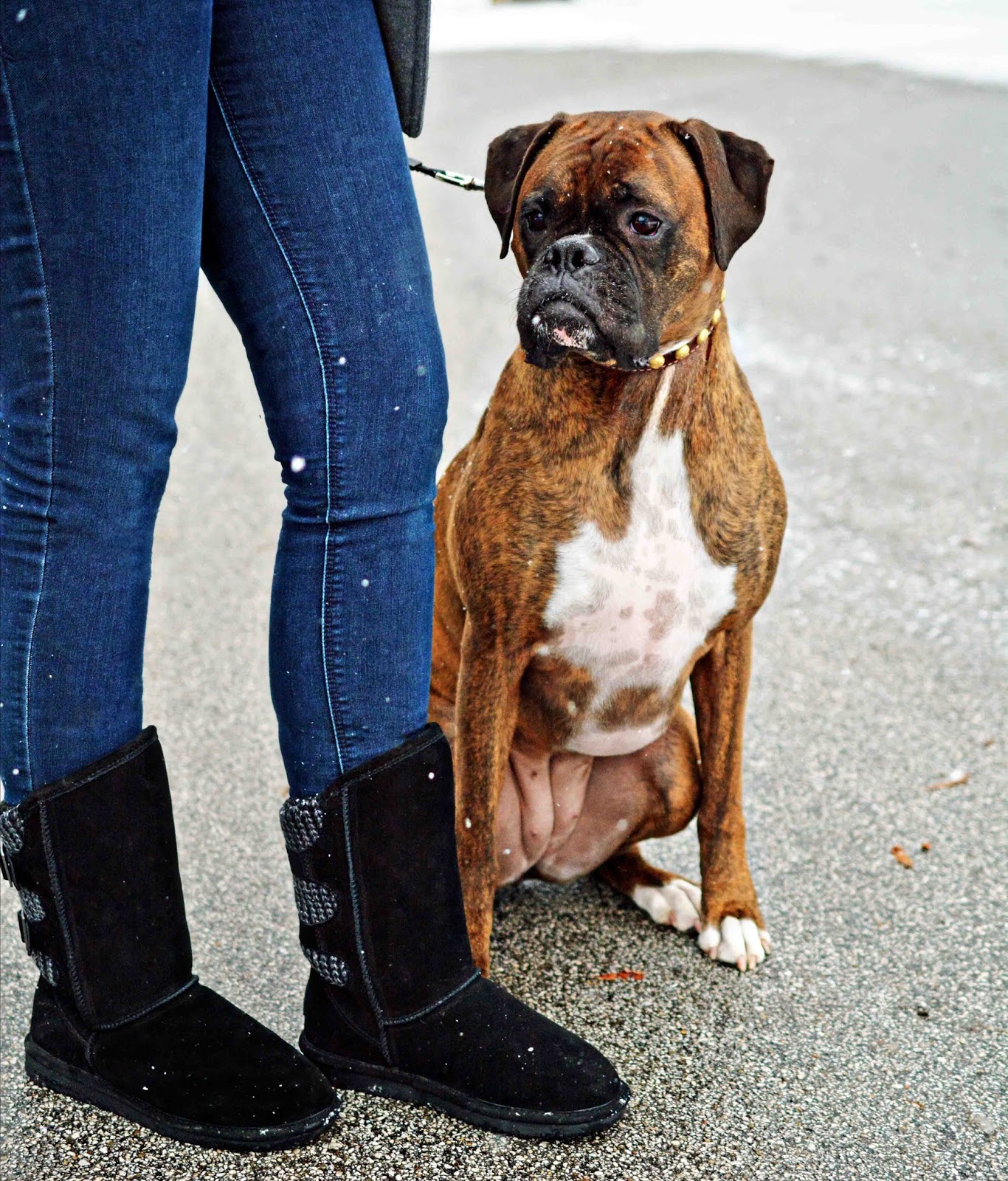 Theresa's Mixed Nuts Boots & Boxers ohsofamous