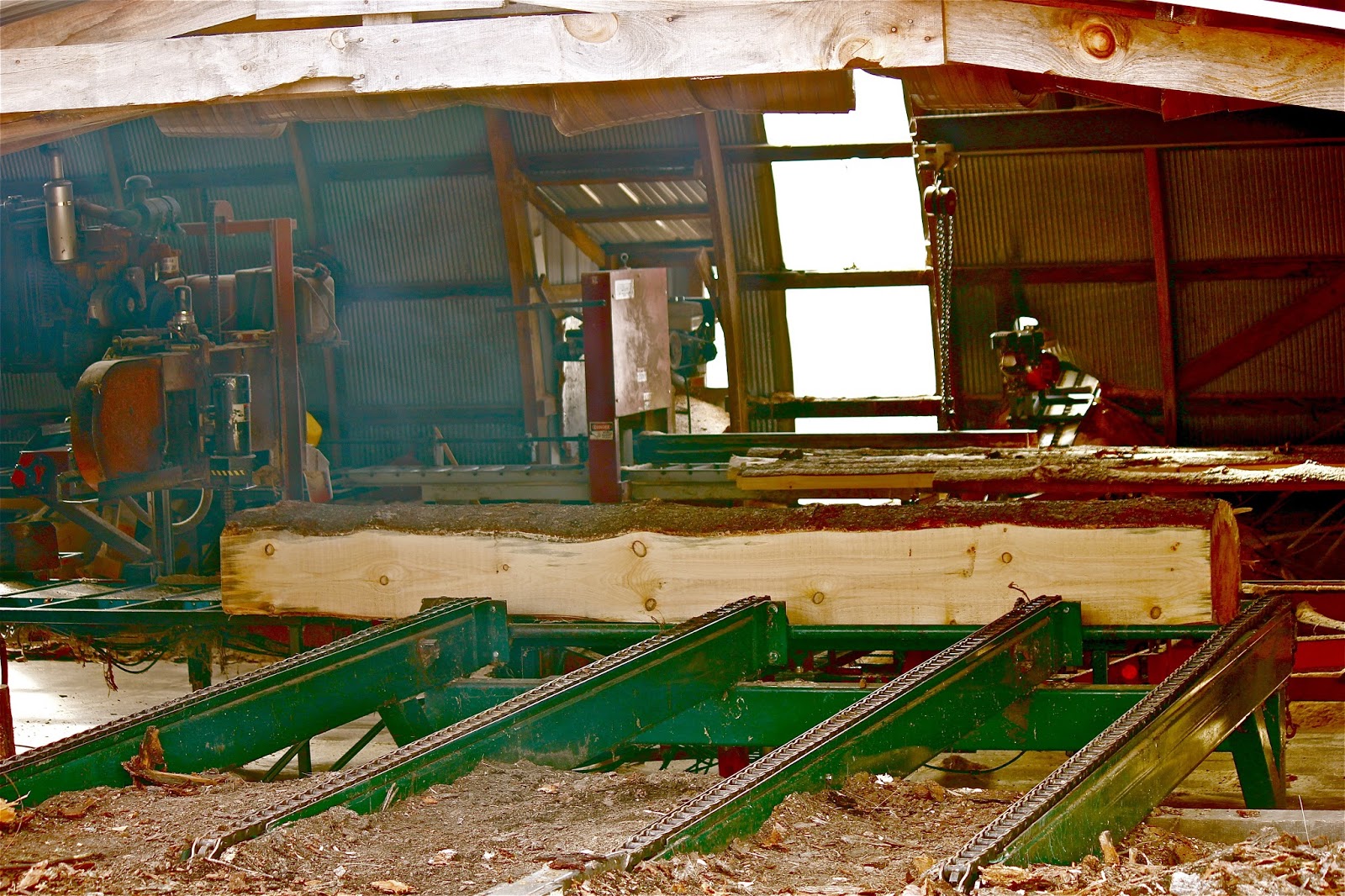 The Cabin Countess An Amish Sawmill