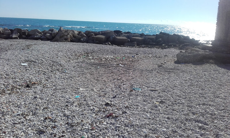 Il WWF riordina la spiaggetta della