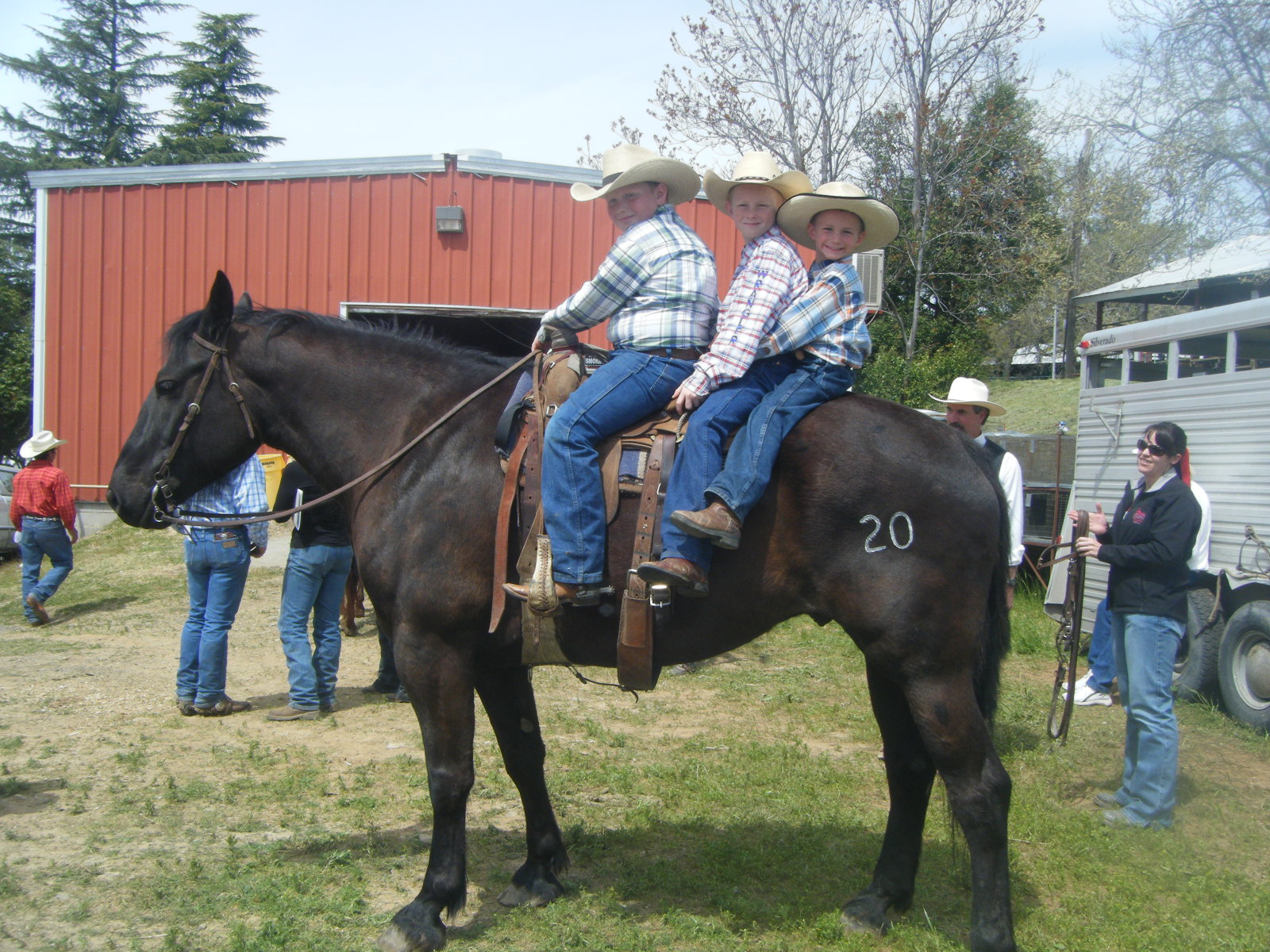 Logan River Ranch ~ Irish Blacks Country Natural Beef (CNB) : Spring ...