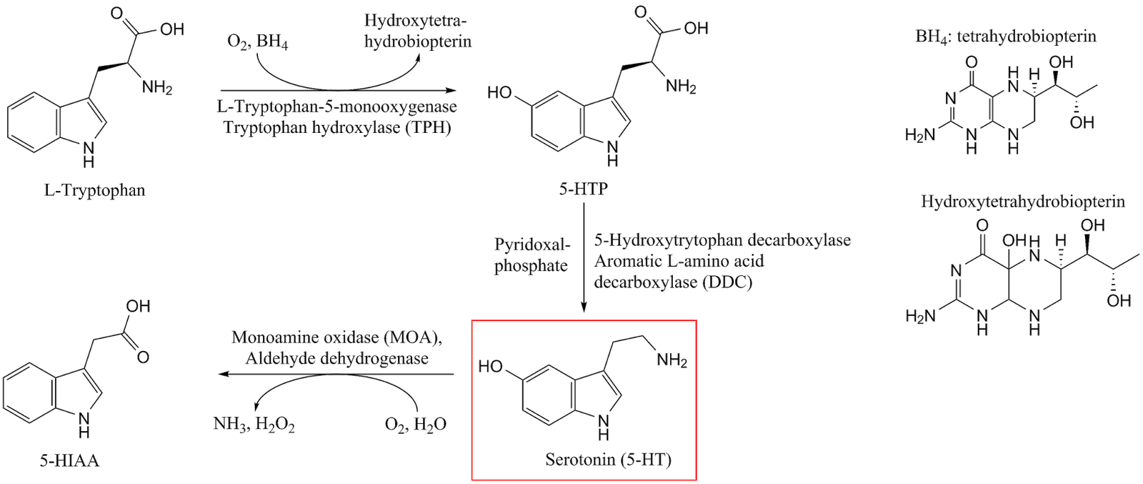 Plaquenil and ophthalmology