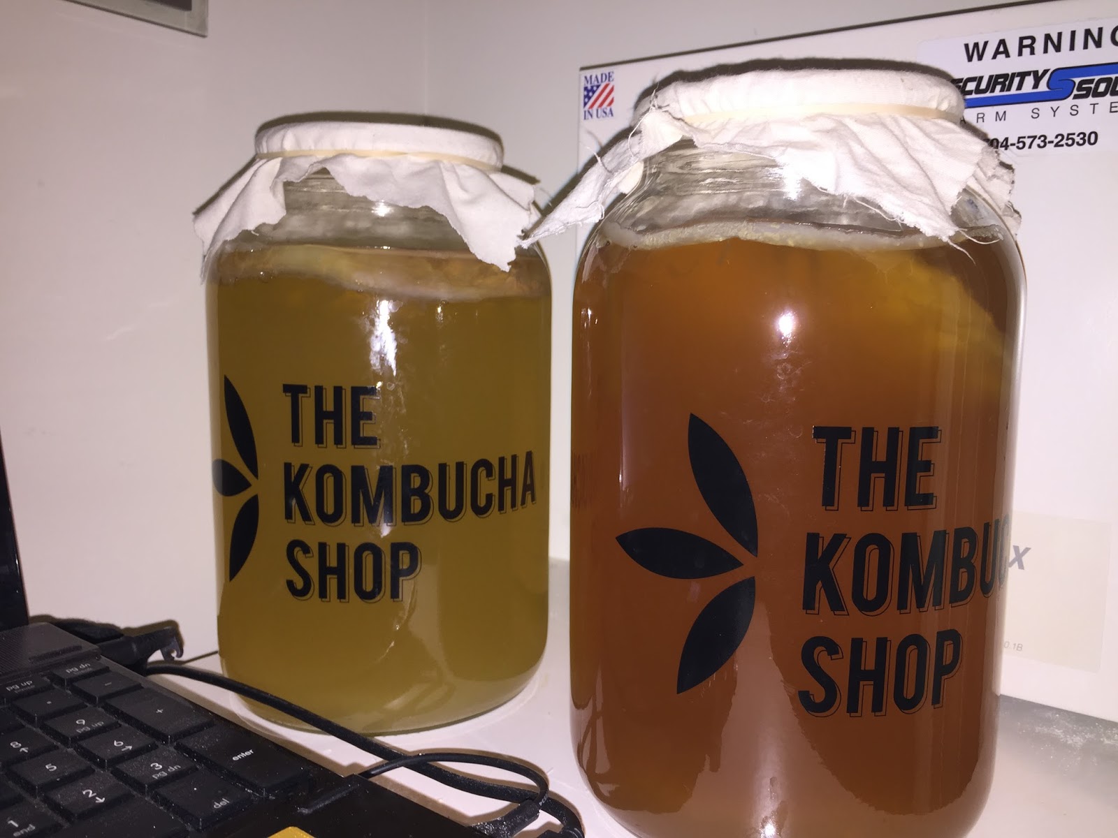 My Crohn's Life Kombucha