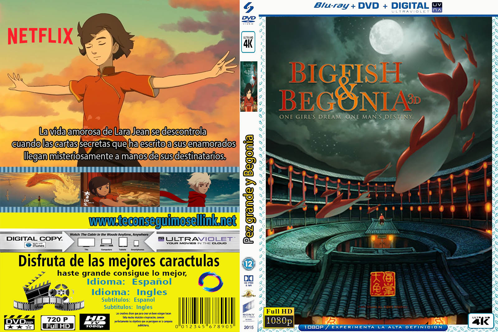 Windows 8 Product Key Windows ISO