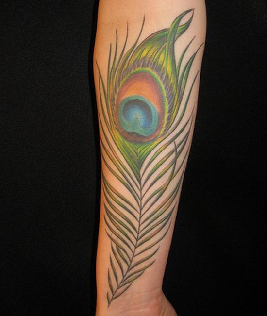 Tattoo Designs: Feather Tattoos