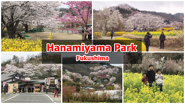 Hanamiyama Park Fukushima