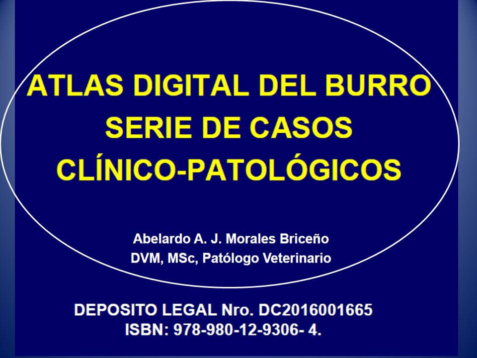 Libros Editados Patología Veterinaria 2016.