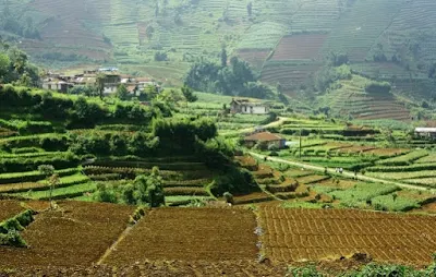 Tanah dan Sistem Pertanian di Indonesia
