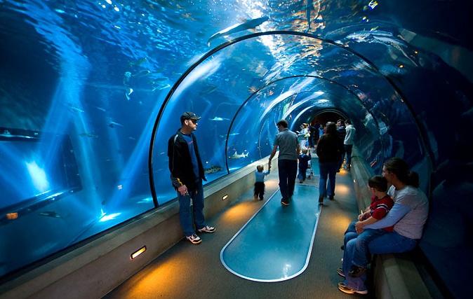 Tourism Oregon Coast Aquarium