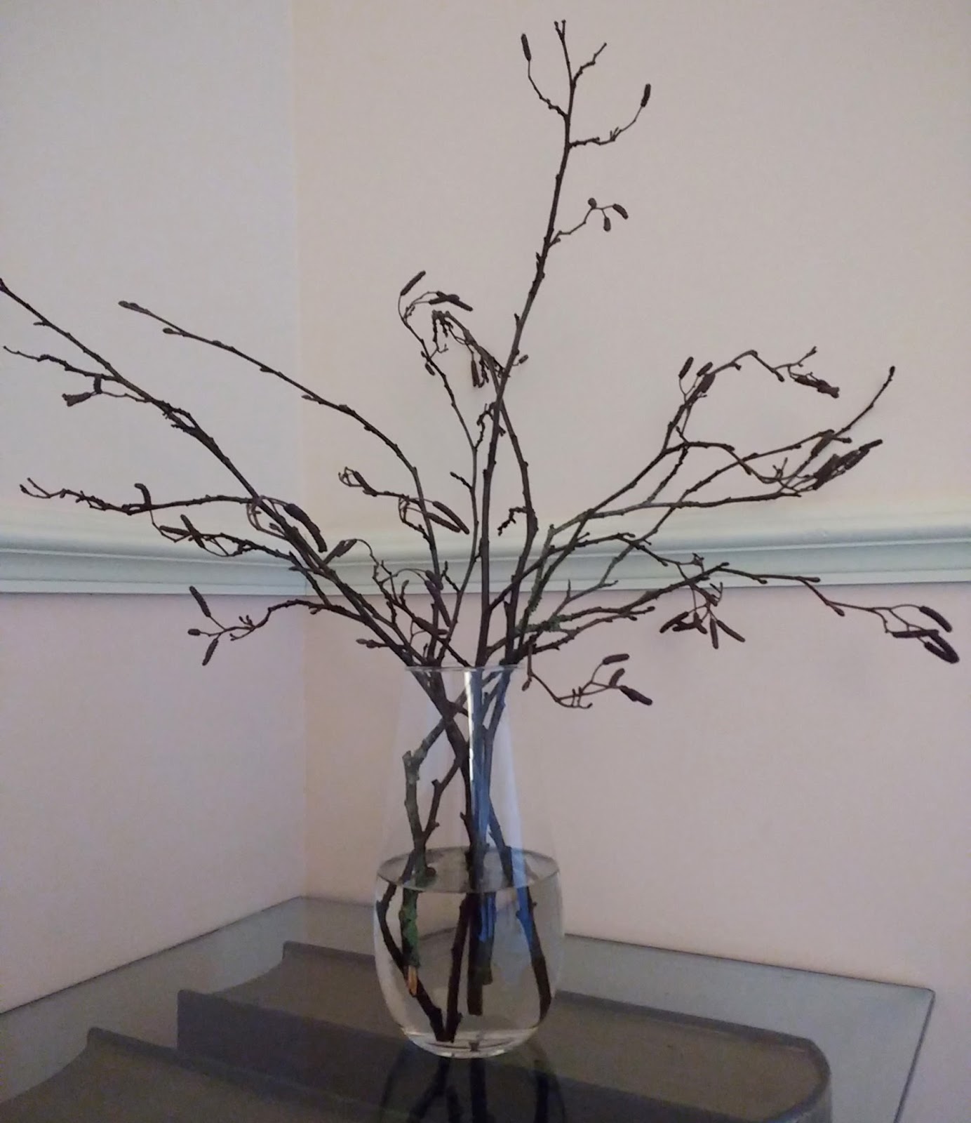 Catkins on display Sophie in the Sticks