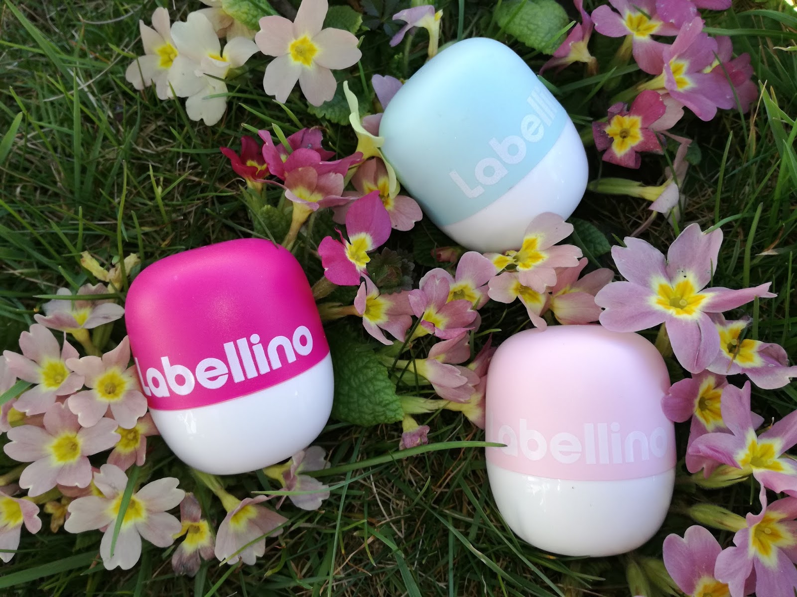 labello-labellino-fresh-mint-raspberry-red-apple-watermelon-pomegranate labello-labellino-fresh-mint-raspberry-red-apple-watermelon-pomegranate