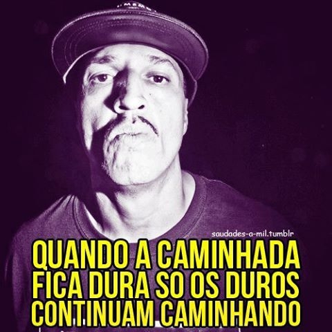 Frases Engraçadas - Imagens, Mensagens e Frases