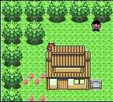 pokemon ancient ruby sapphire screenshot 2