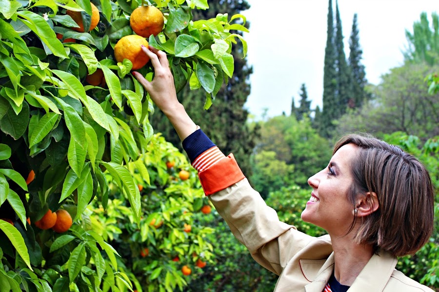 Fitness And Chicness-Orange Stripes-2