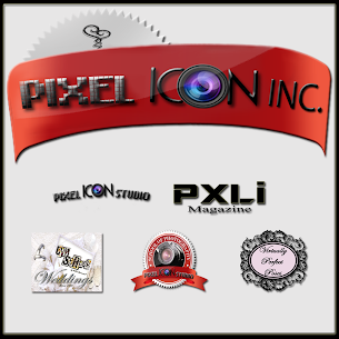 Welcome to Pixel Icon Inc.'s Blog!