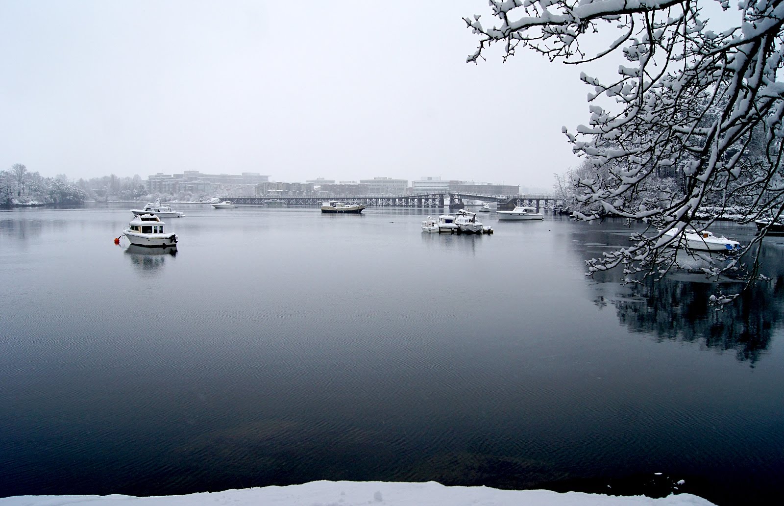 Victoria Daily Photo Boats in the Snow