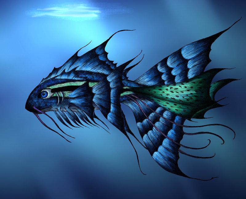 Beautiful Fish HD Desktop Wallpapers | Hasnat wallpapers ...