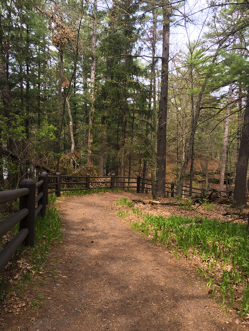 Wisconsin Explorer Hiking Echo Rock at Mirror Lake State Park