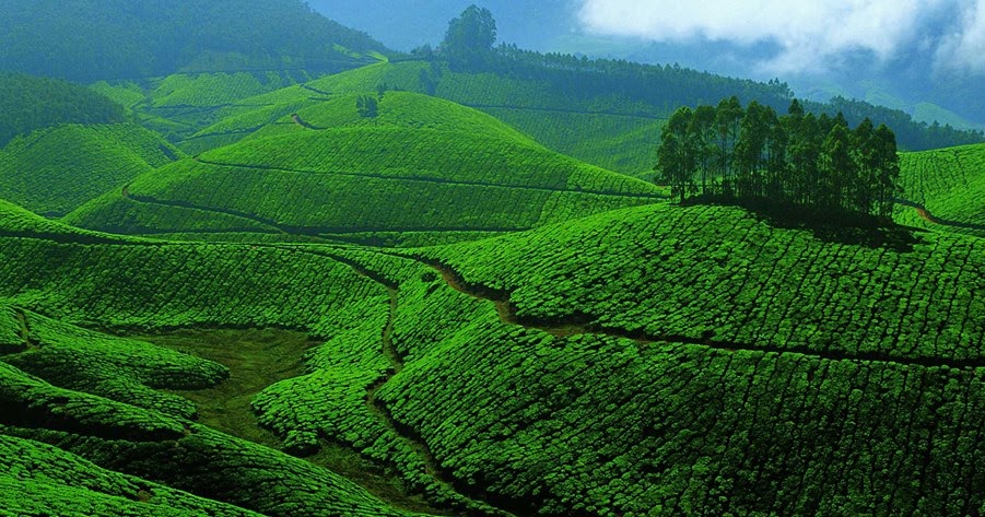 MUNNAR