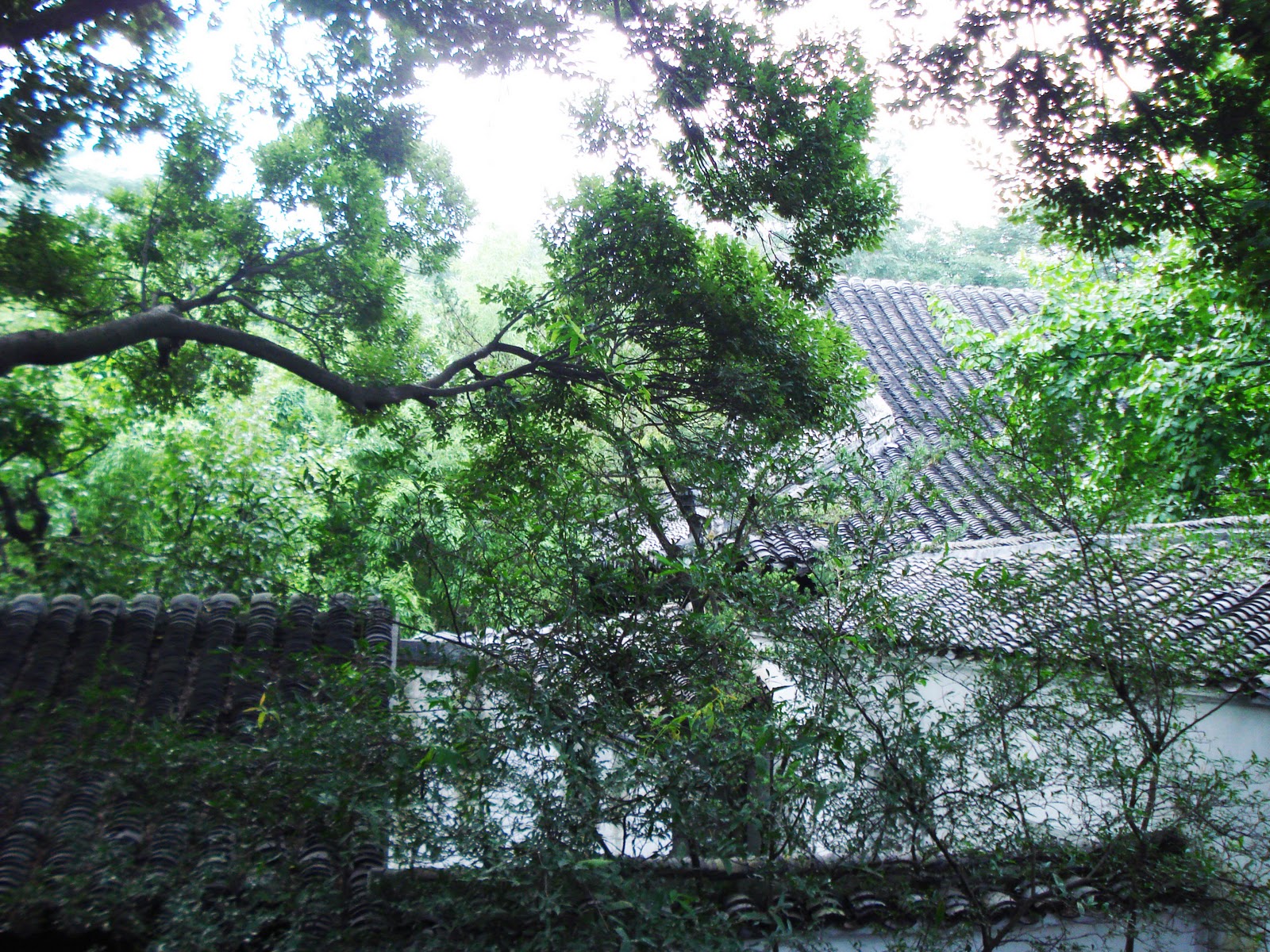 IDEAS BASE EL PATIO CHINO